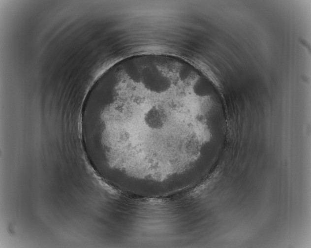 X0000097510839200803071822