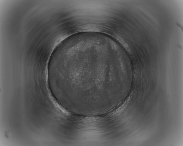 X0000097510840200803071822