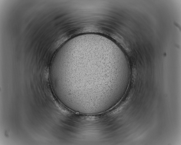 X0000097510841200803071822