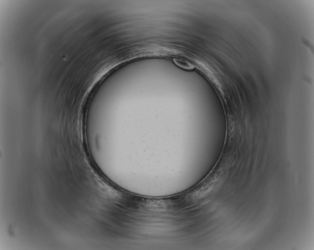 X0000097510843200803071823