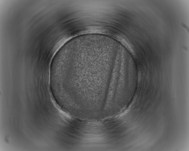 X0000097510844200803071823