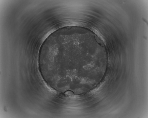 X0000097510845200803071823