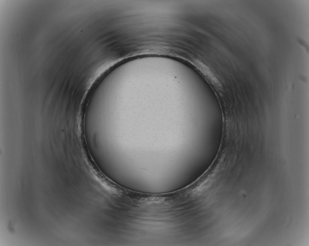 X0000097510846200803071823