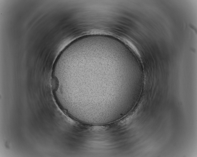 X0000097510847200803071823