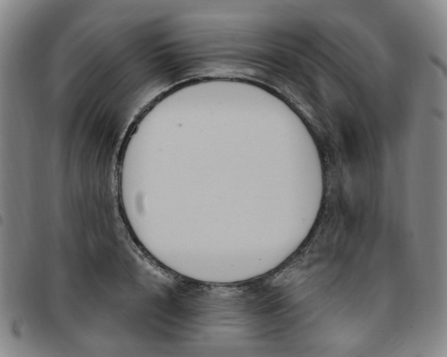 X0000097510848200803071823