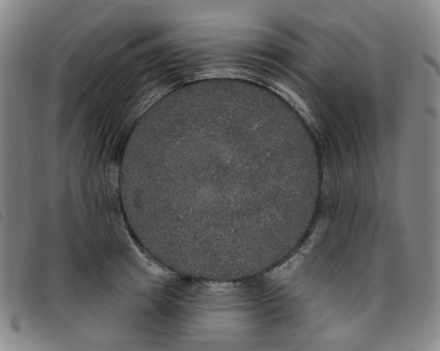 X0000097510849200803071823