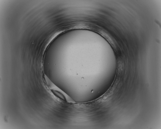 X0000097510852200803071823