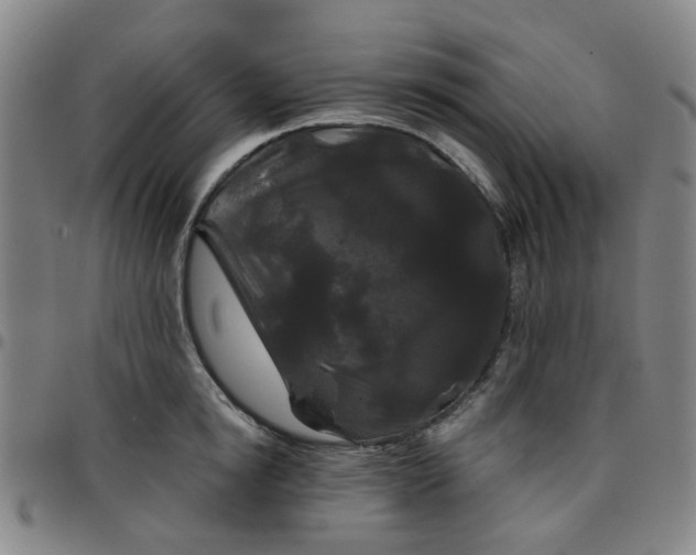 X0000097510854200803071823