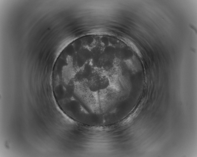 X0000097510855200803071823