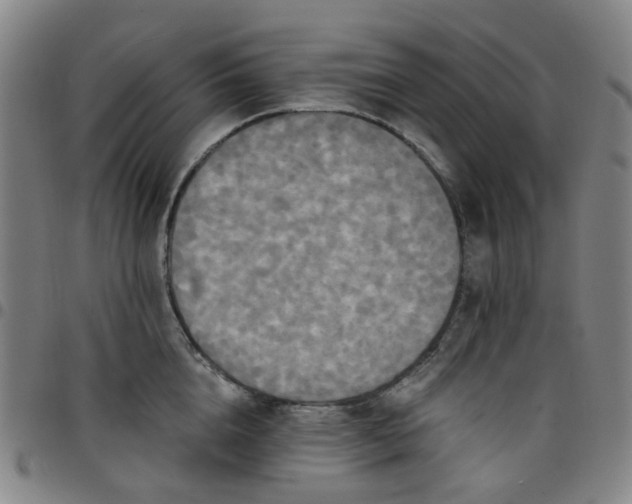 X0000097510856200803071823