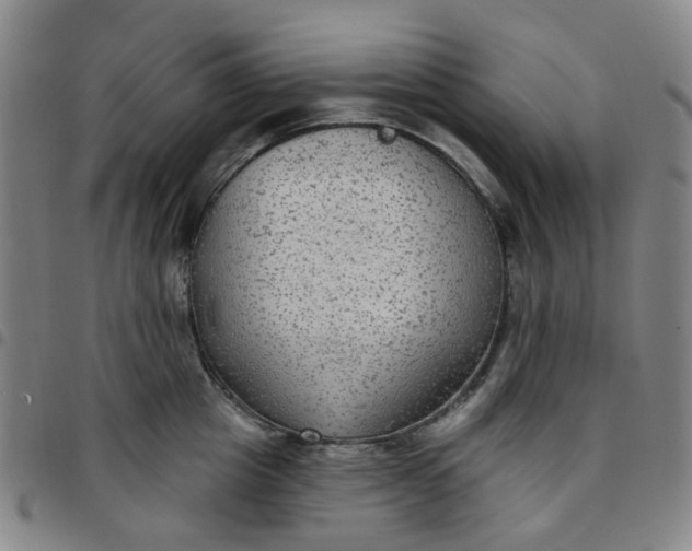 X0000097510857200803071823