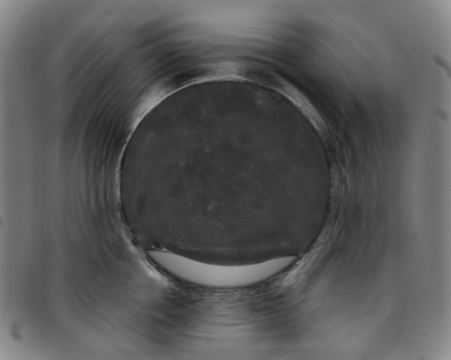 X0000097510858200803071823