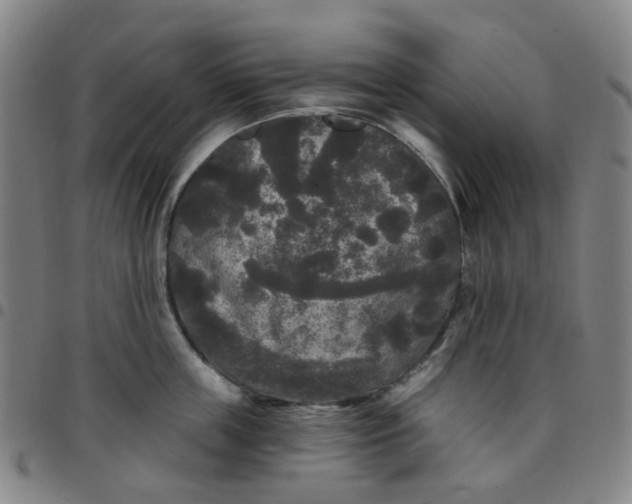 X0000097510859200803071823