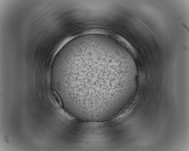 X0000097510860200803071823