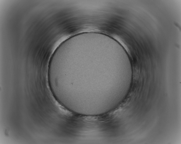 X0000097510861200803071823