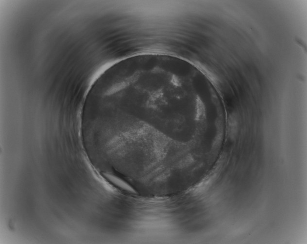 X0000097510862200803071823