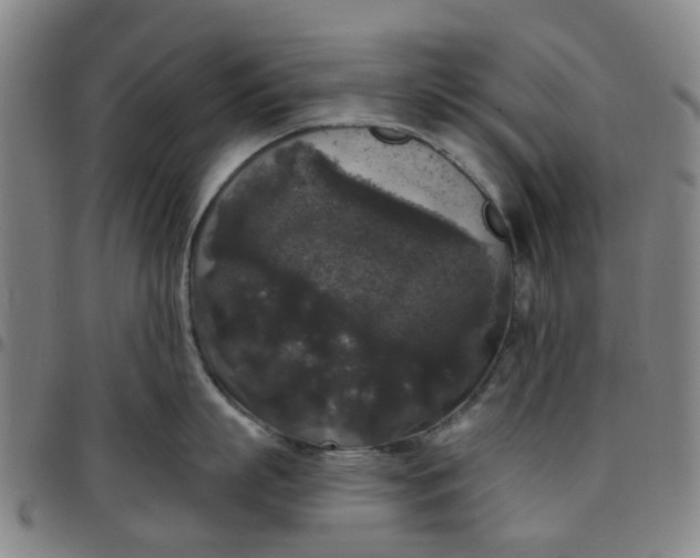 X0000097510863200803071823