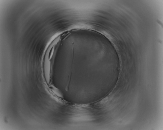 X0000097510864200803071823