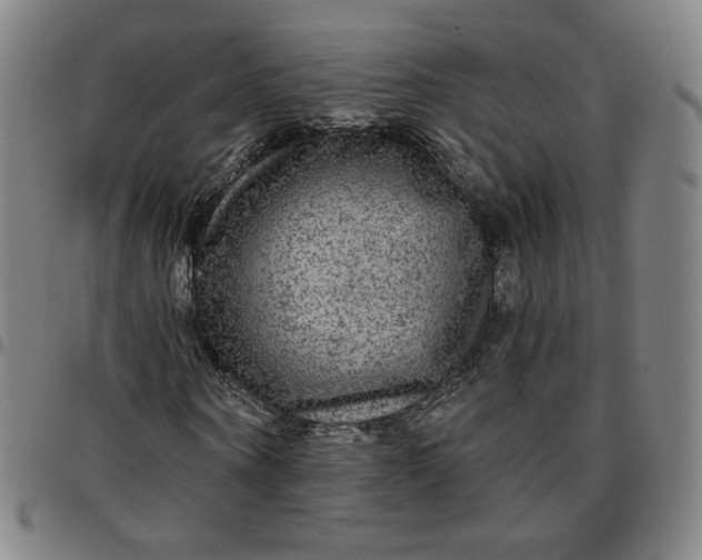 X0000097510866200803071822