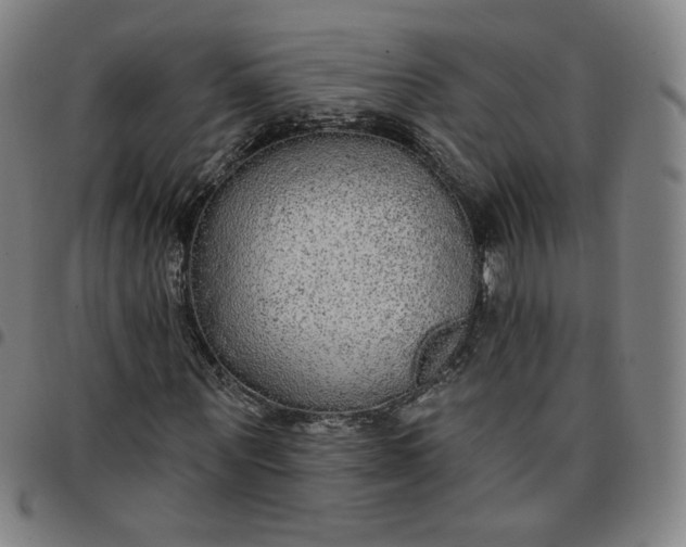 X0000097510867200803071822