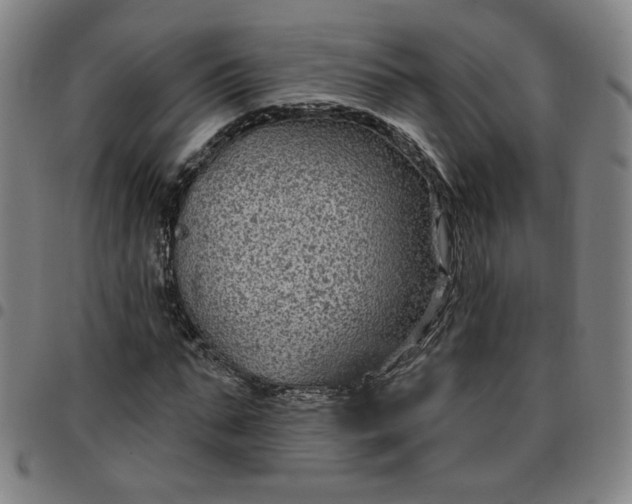 X0000097510871200803071822