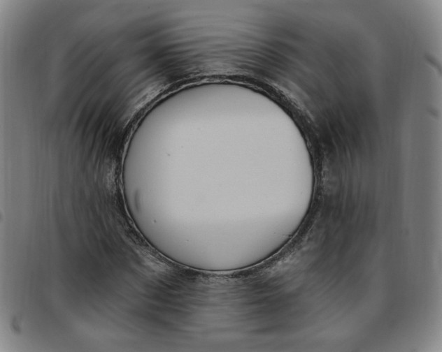 X0000097510873200803071822