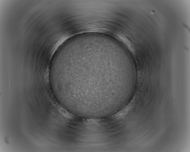 X0000097510875200803071822