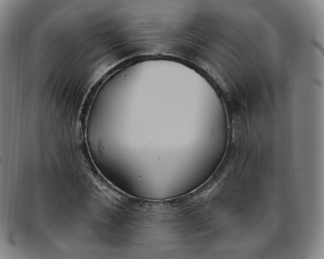 X0000097510876200803071822