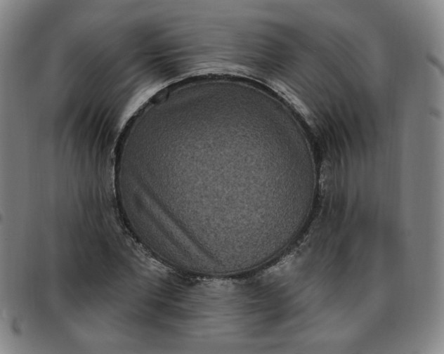 X0000097510877200803071822