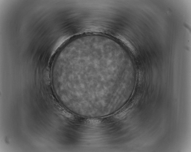 X0000097510878200803071822