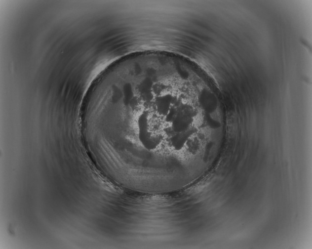 X0000097510879200803071822