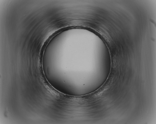 X0000097510880200803071822