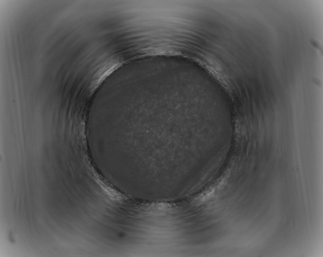 X0000097510881200803071822