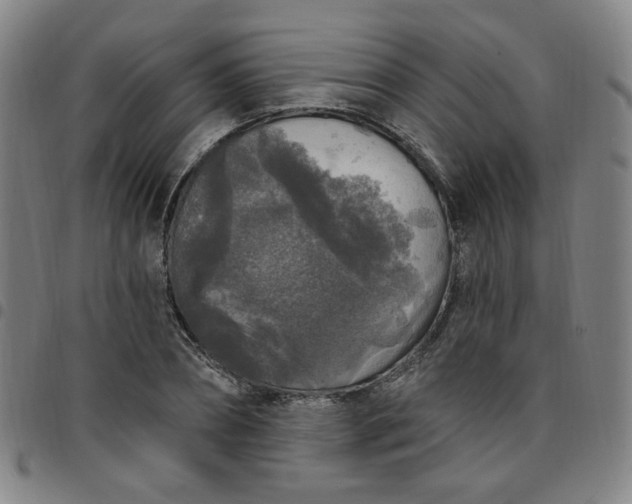 X0000097510882200803071822