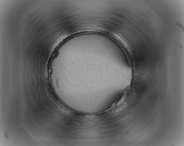 X0000097510883200803071822