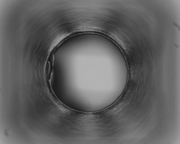 X0000097510885200803071822