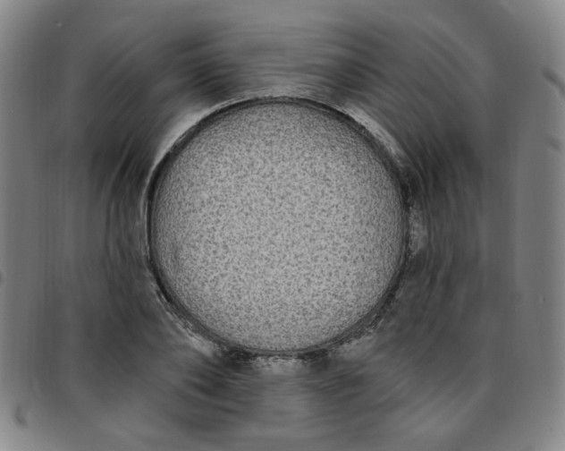 X0000097510886200803071822