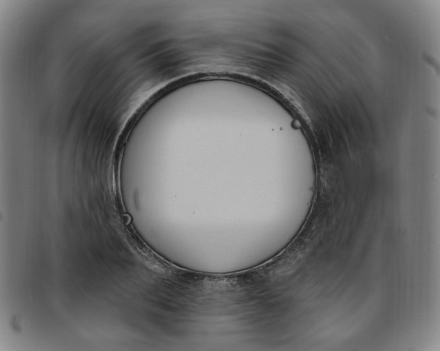 X0000097510887200803071822