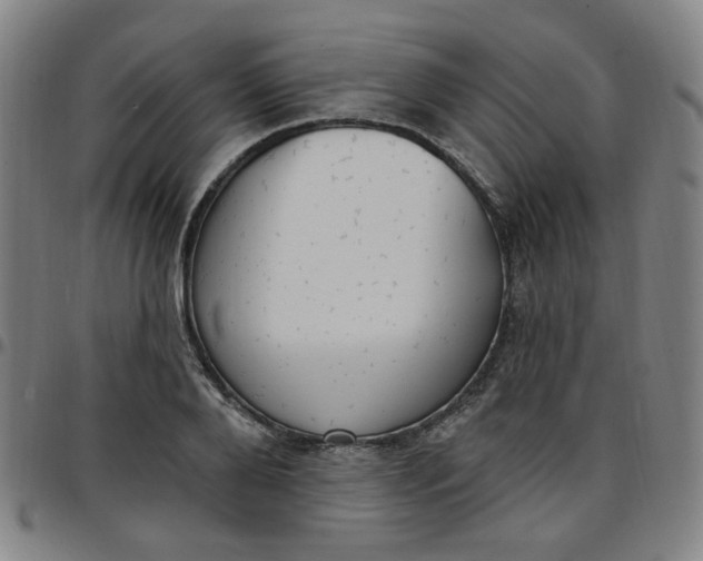 X0000097510888200803071822