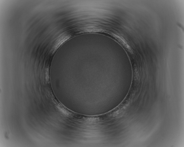 X0000097510889200803071822