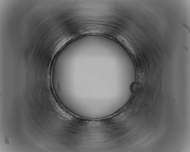 X0000097510890200803071822