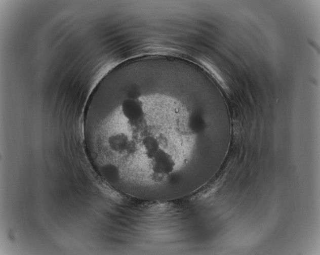 X0000097510891200803071822