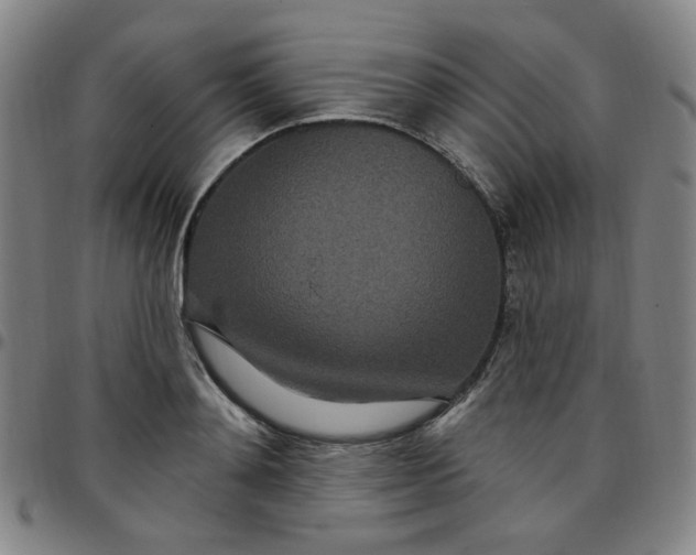 X0000097510892200803071822