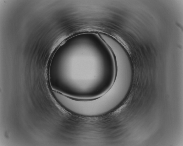 X0000097510893200803071822