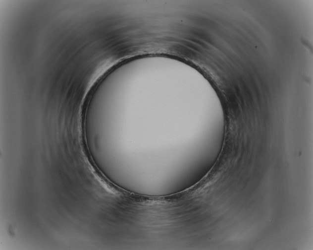 X0000097510894200803071822