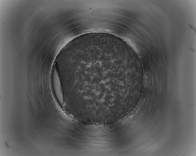 X0000097510895200803071822