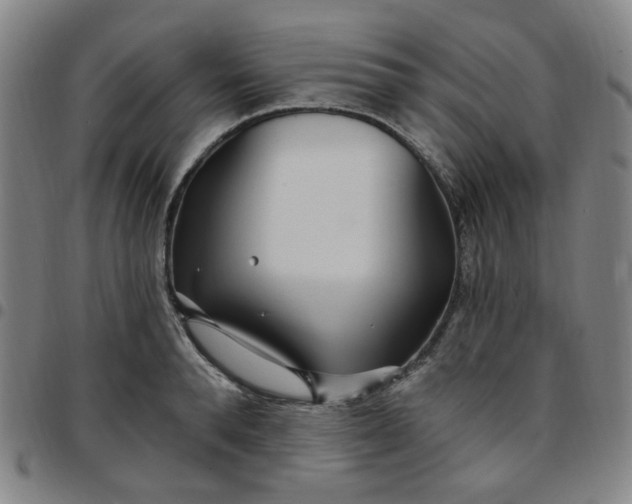 X0000097510896200803071822