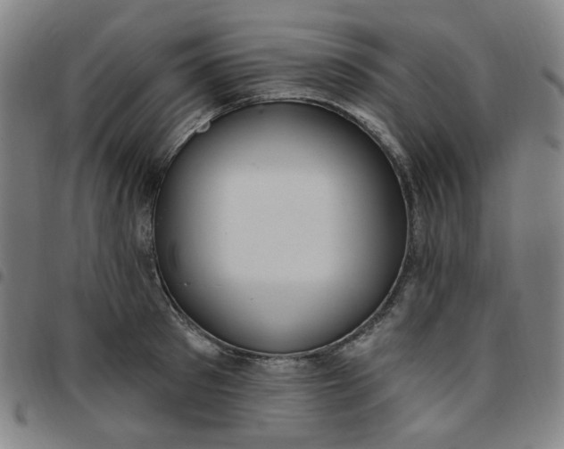 X0000097510897200803071822