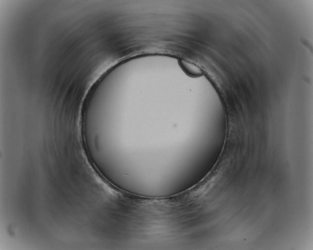 X0000097510902200803071822