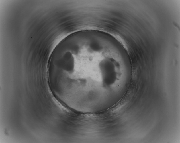 X0000097510903200803071822